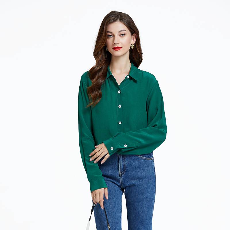 Silk Long Sleeve Casual Work Blouse